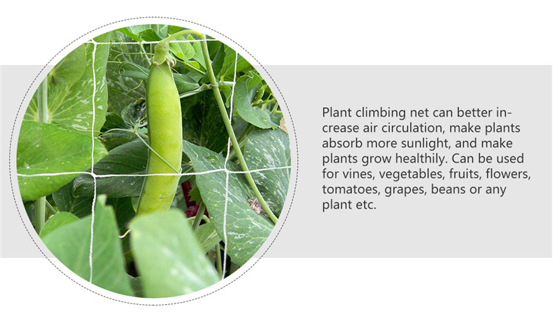 plasa de sustinere a plantelor 4