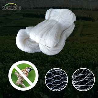 White Warp Knitting Bird Net 75G Furnizori de plasă pentru păsări