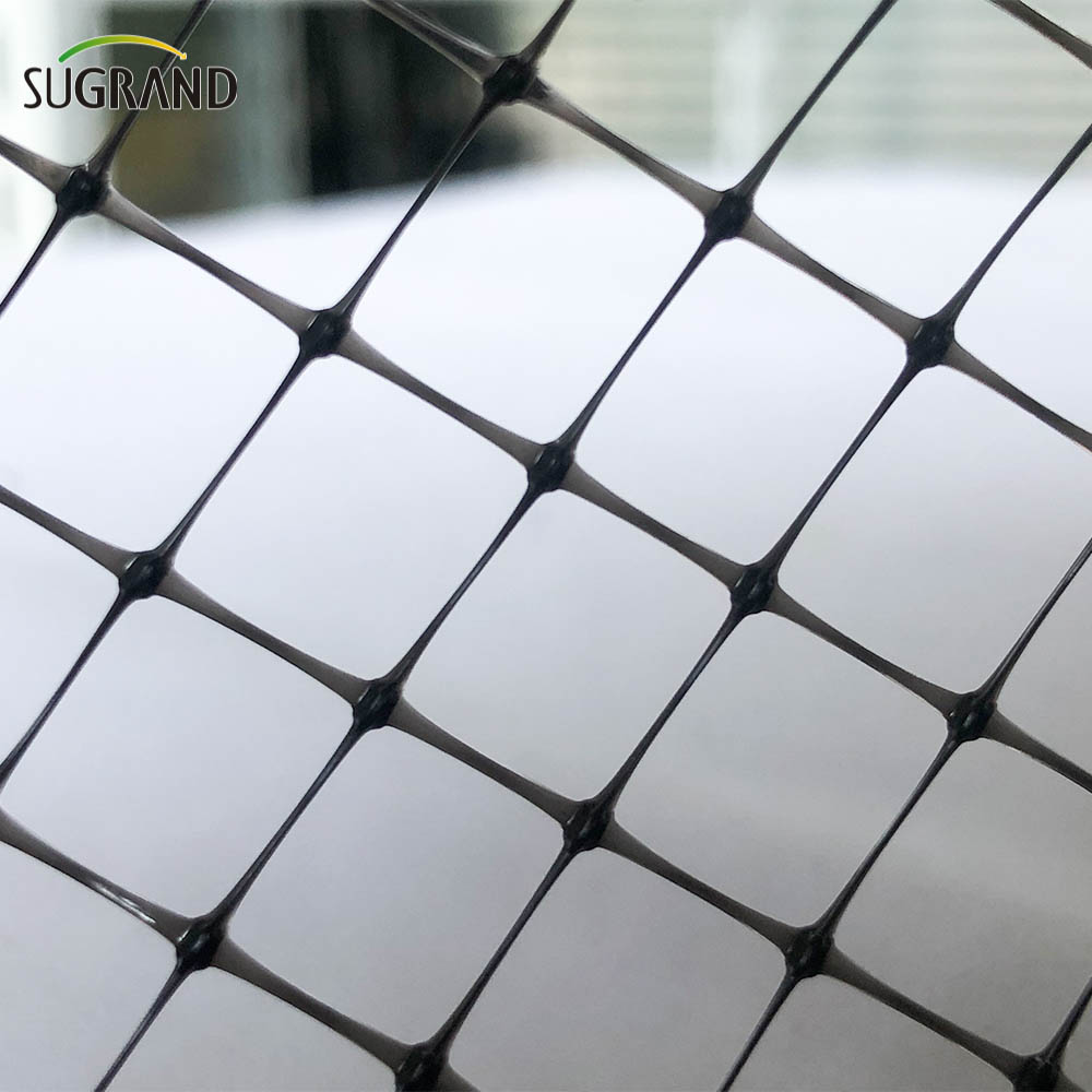 NETS BLACK BIRD MATS Furnizori anti-pasăre extrudate