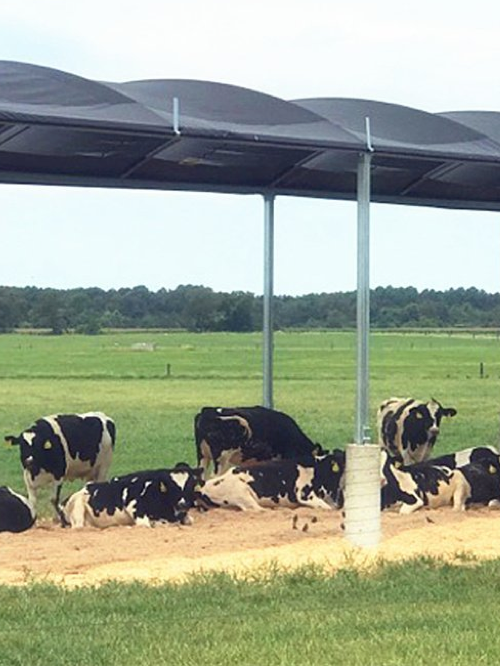 Net de nuanță agricultură