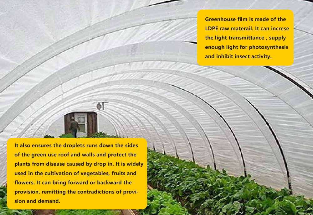 Film cu efect de seră-2