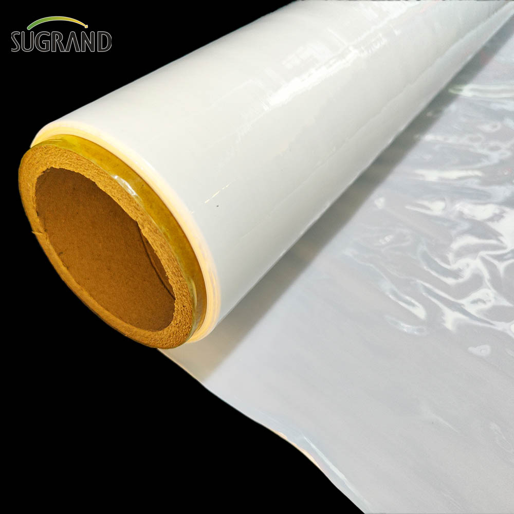 Film de însilozare White / Negru Silog Schen