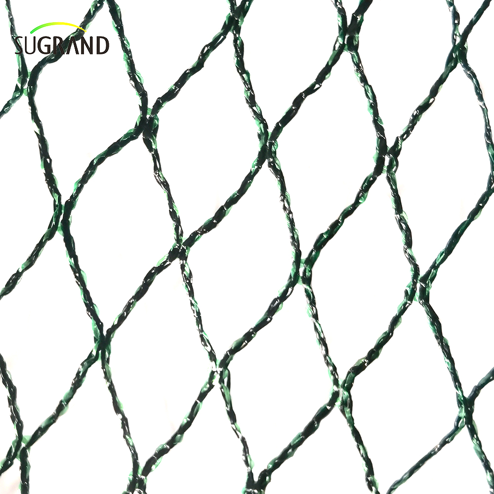 Republica cehă100% HDPE+UV 25GSM 20*20mm Mesh 5*6/12m Green Green Agricultură Catching Bird Mist Netting