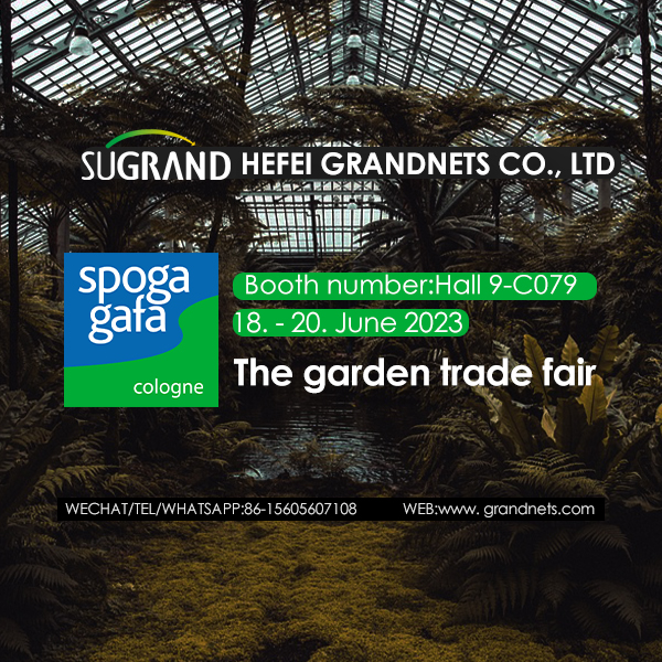 Germania Gafa-Spoga vine!