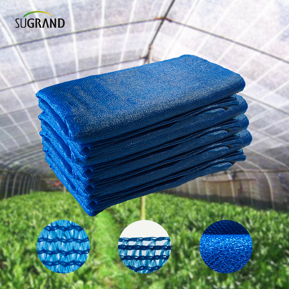 Bandă albastră-bandă trei ace