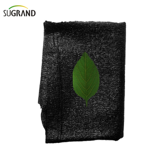 Trei ace de bandă de bandă verde/negru nuanță de nuanță