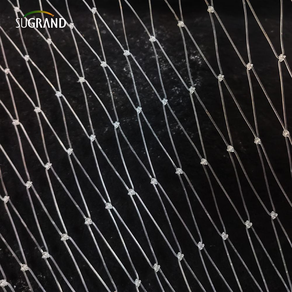 15*15 cm plasă transparentă de pește din nylon pentru piața din Peru