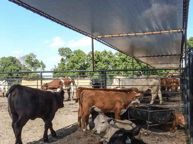 Net de umbră de soare