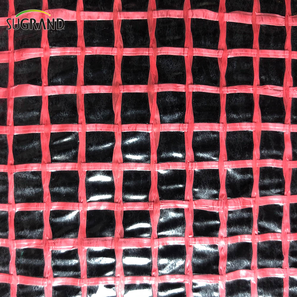 Fișă de plasă de plastic din plasă de plasă transparentă pe prelată PE