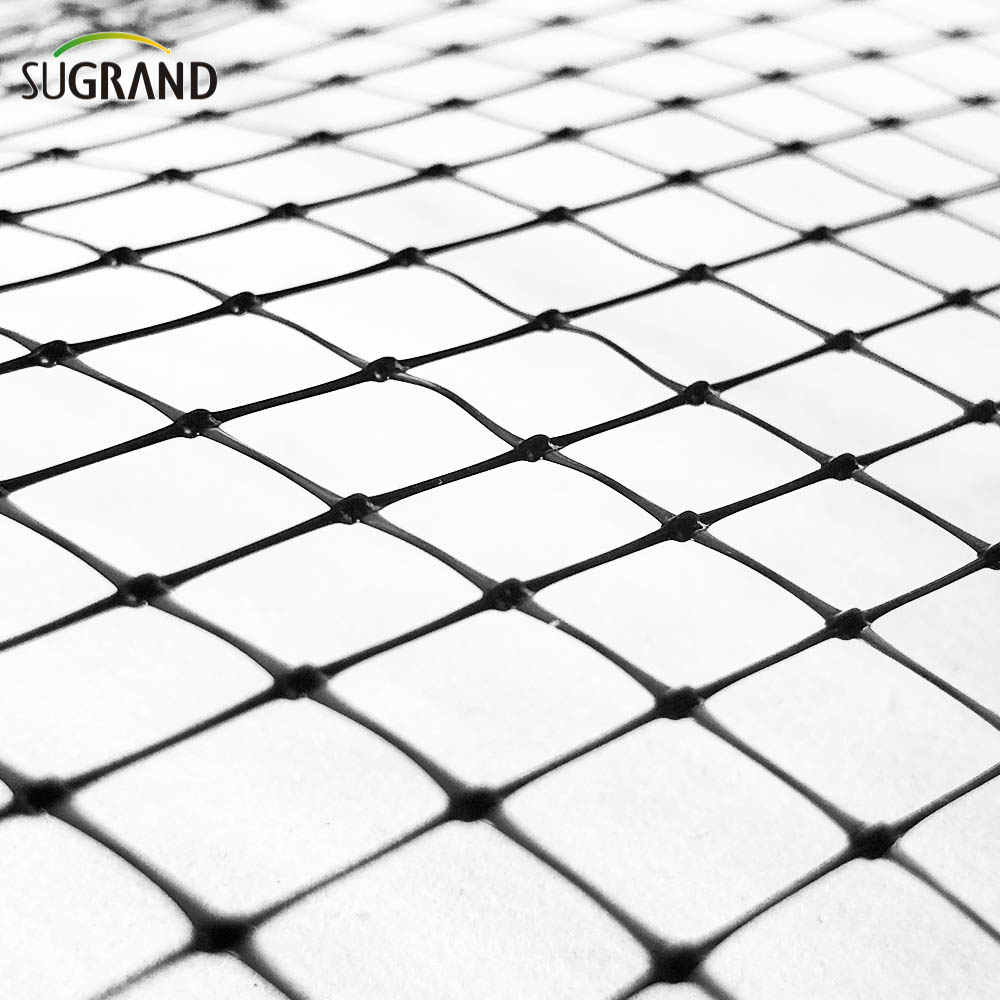 NETS BLACK BIRD MATS Furnizori anti-pasăre extrudate