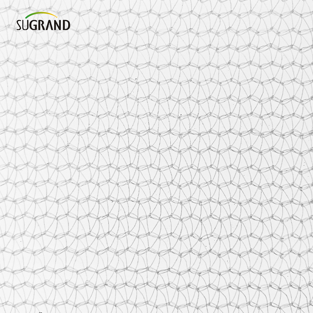 China Factory 80gsm Albul Siguranță pentru clădire