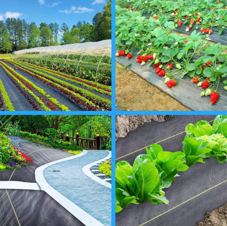 Poate acoperi că acoperirea solului se poate descurca cu vremea grea?