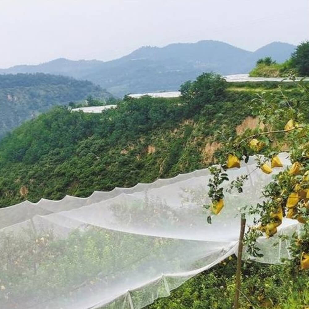 Plase de grindină tricotate premium pentru podgorii