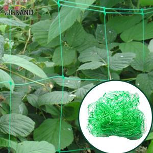 10GSM Green Plant Support Net/Net Net