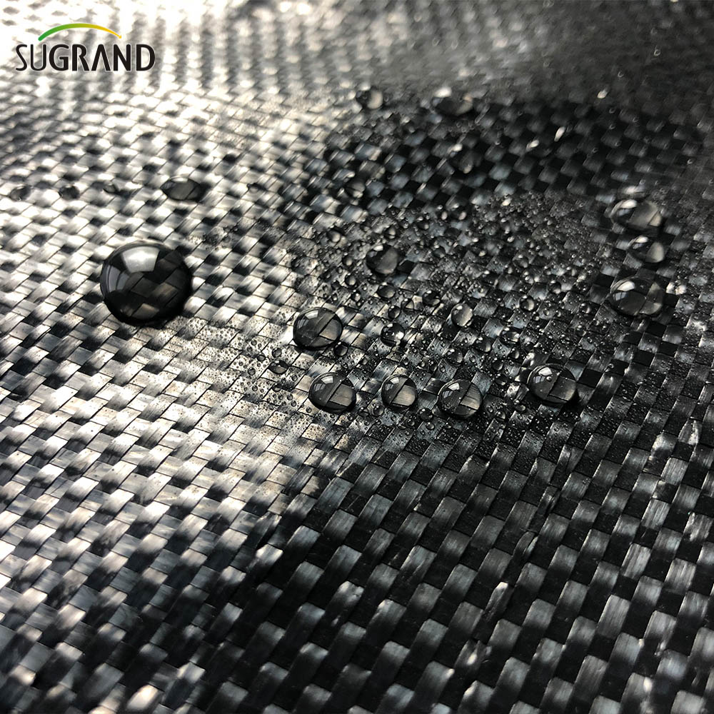 70g 80g 90g 100g Negru Material nou Capac din plastic pentru sol