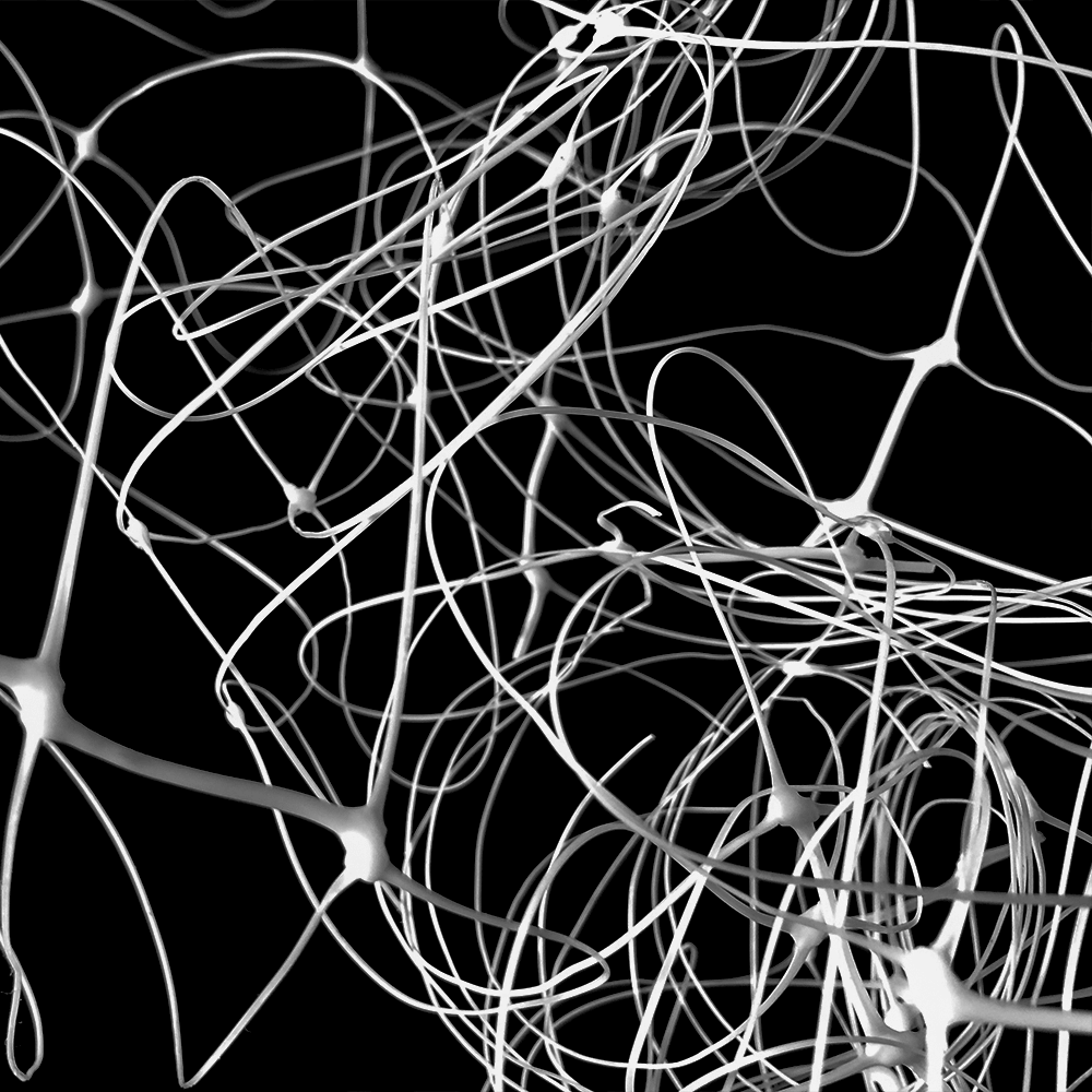 Plant Support Net Garden Trellis pentru urcarea plantelor în aer liber