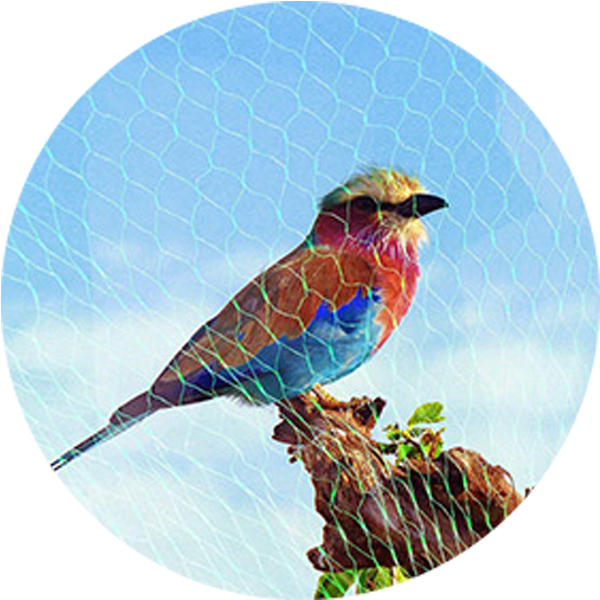 Plasă antipăsări de 75 g/m&sup2;