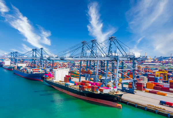 Experiență bogată în producție și export 