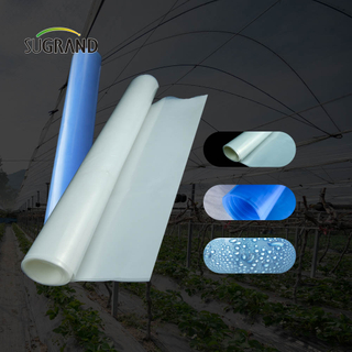 Fabrica Direct 30microns - 250microni UV Film cu efect de seră pentru seră de seră Agricultură 