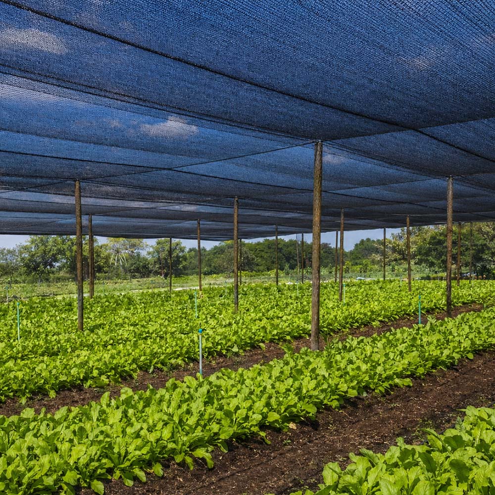 Plasă de umbră neagră mono tricotată HDPE cu ridicata