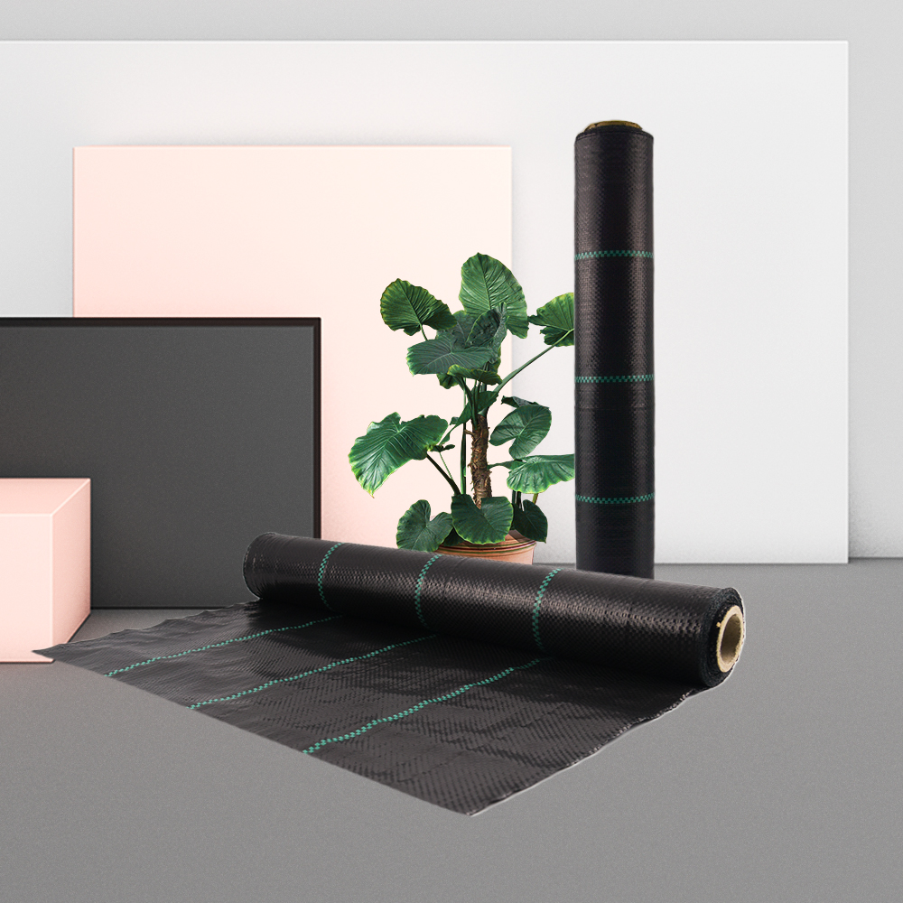 Capacul solului de control al buruienilor de înaltă calitate 100g/m2 pentru seră pentru seră