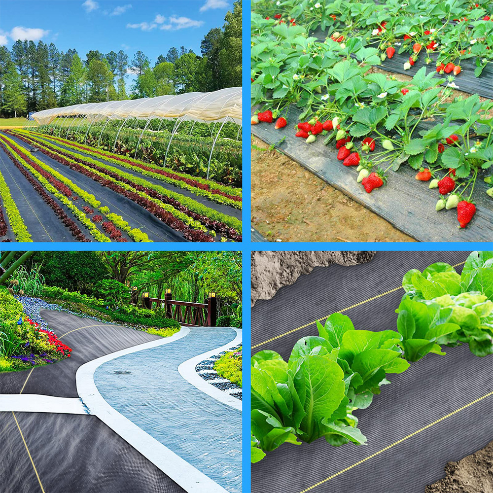 Polipropilenă (pp) țesută la sol barieră de buruieni