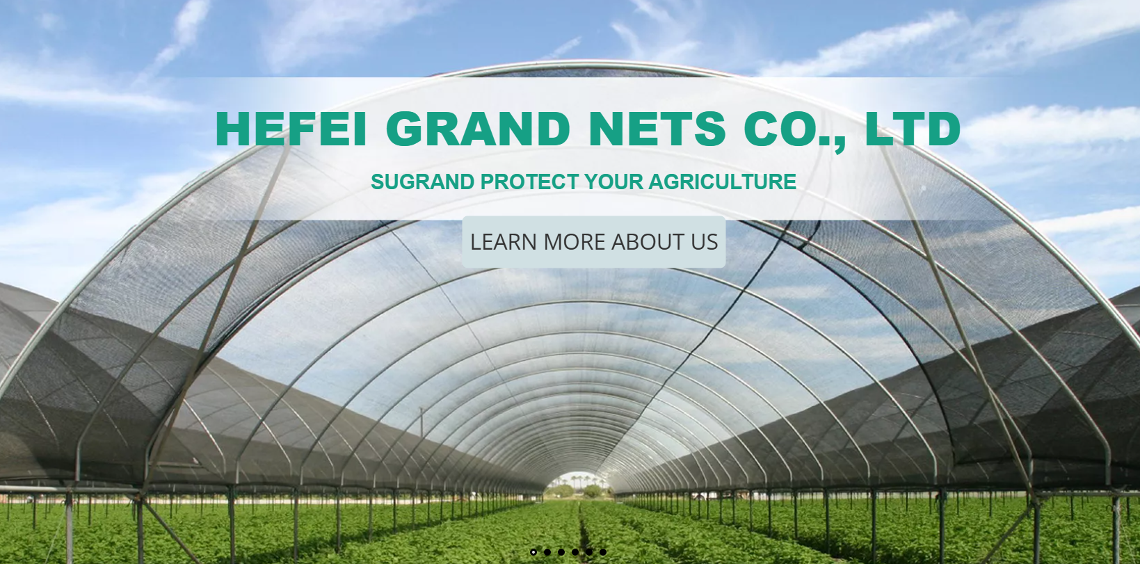 Care este cea mai bună acoperire la sol pentru controlul buruienilor?