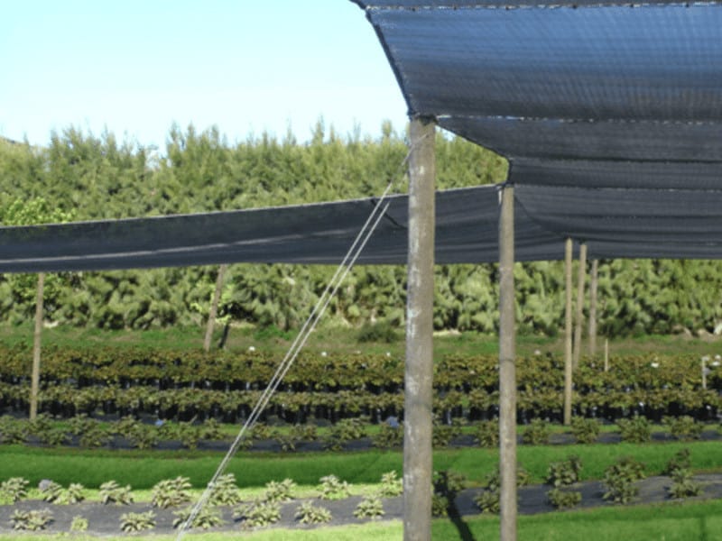 plasă de umbrire vegetală