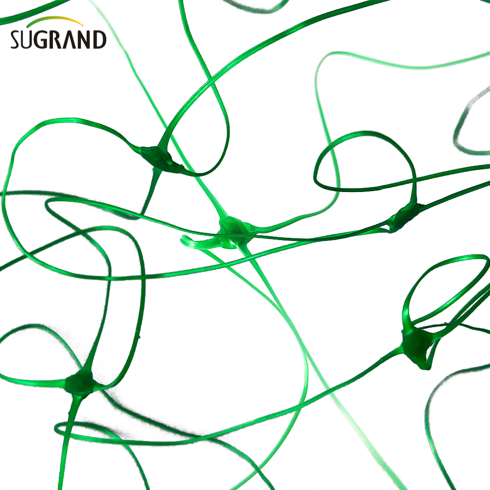 10GSM Green Plant Support Net/Net Net