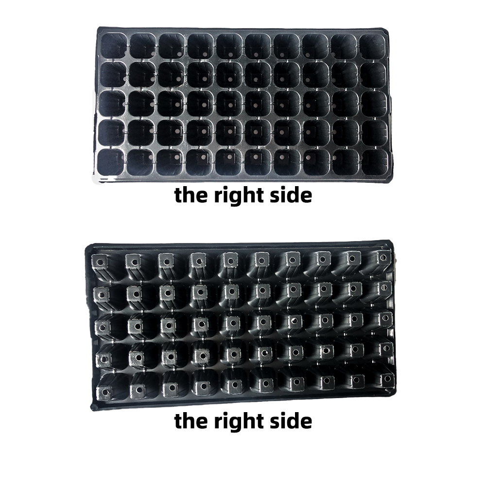 Tăvi de pornire a răsadului de grădină neagră 