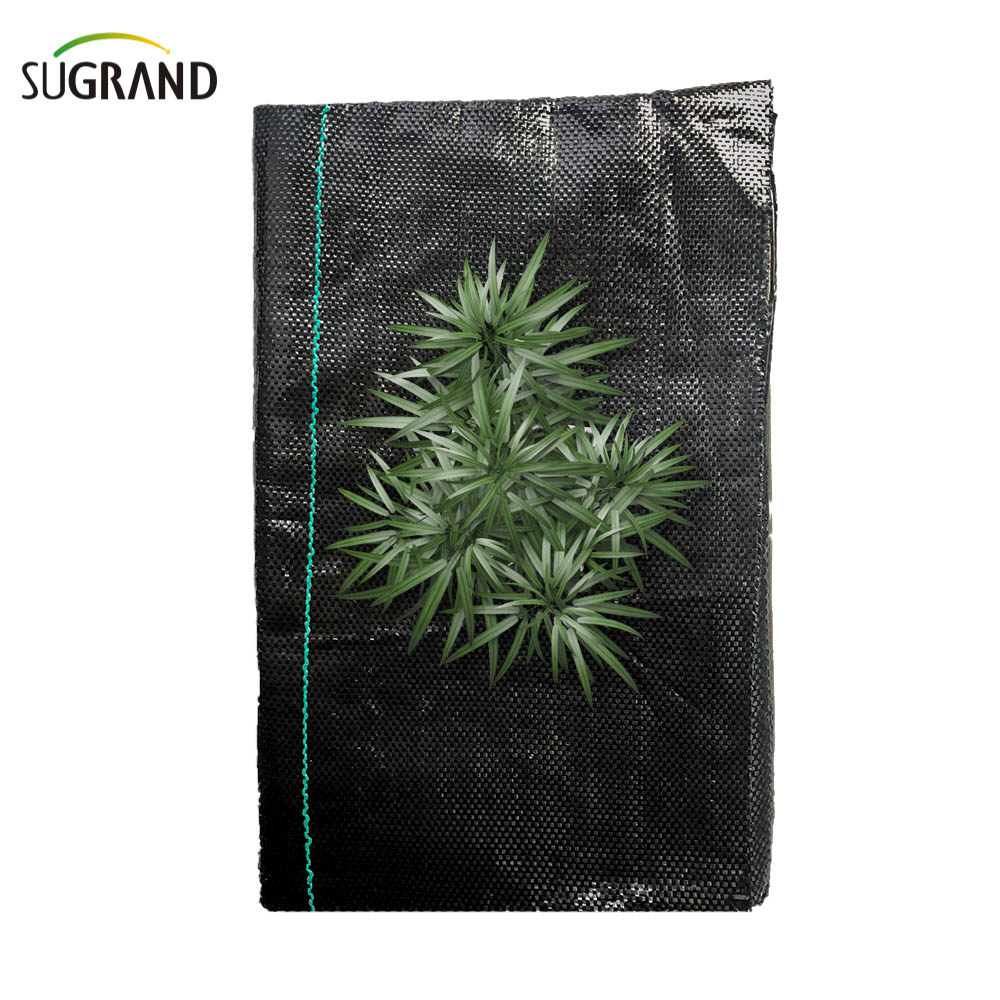 100% pp acoperire neagră de la sol/țesătură de barieră de buruieni