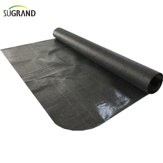 În aer liber, gri închisă, nuanțe de soare, copertine de soare, plasă de baldachin