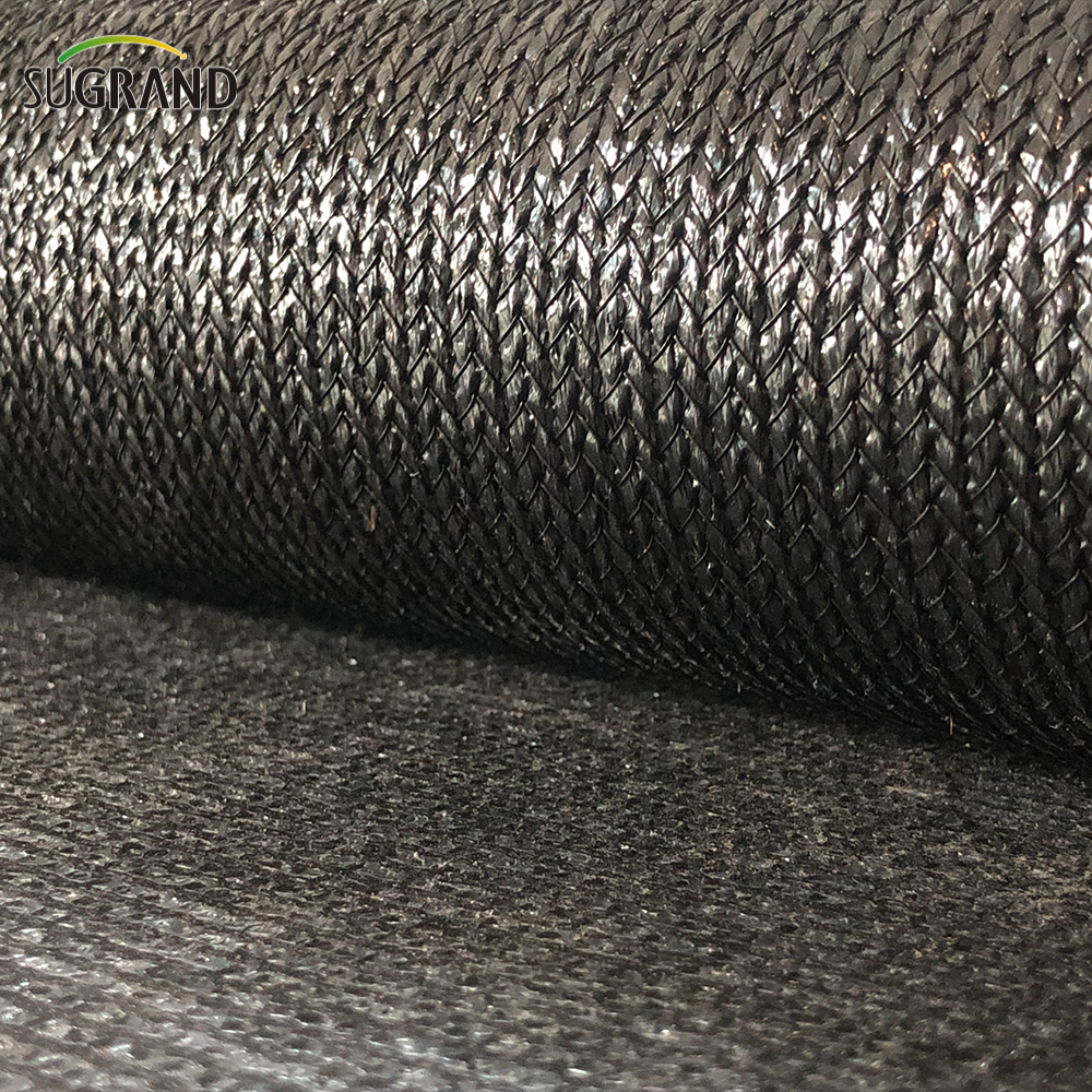 În aer liber, gri închisă, nuanțe de soare, copertine de soare, plasă de baldachin