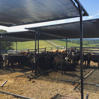 Fabrică de plase de umbră mono tricotate pentru agricultură