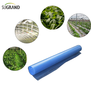  6 Mil Polietilenă Film cu efect de seră Blue Film din plastic 