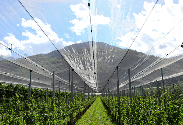 OEM/ODM​​​​​​