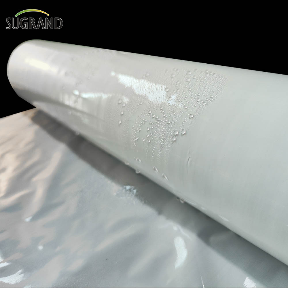 Film de însilozare White / Negru Silog Schen