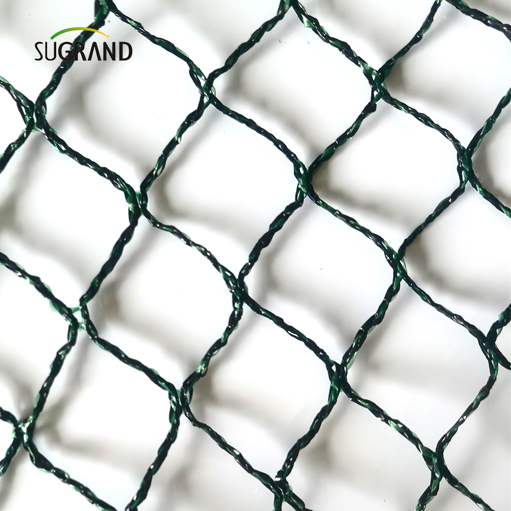 Republica cehă100% HDPE+UV 25GSM 20*20mm Mesh 5*6/12m Green Green Agricultură Catching Bird Mist Netting