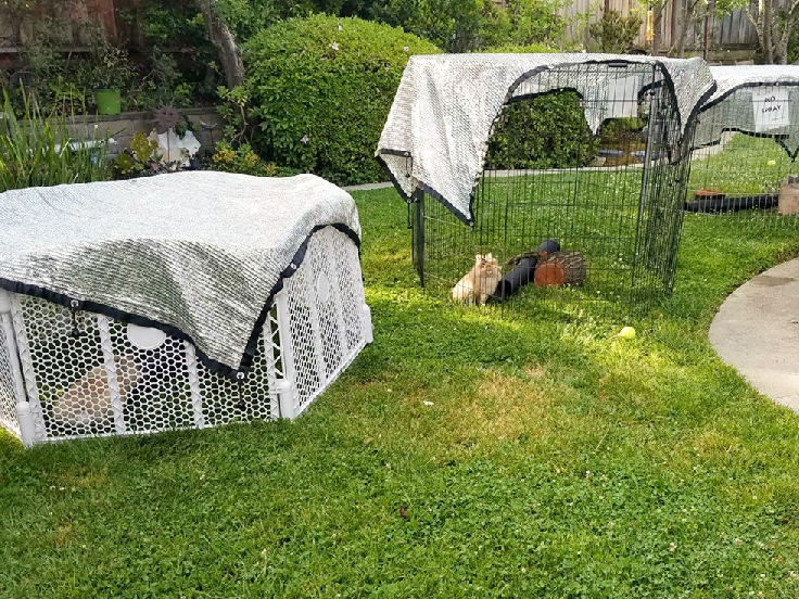 Producători de top pentru nuanțe agricole din Bangalore