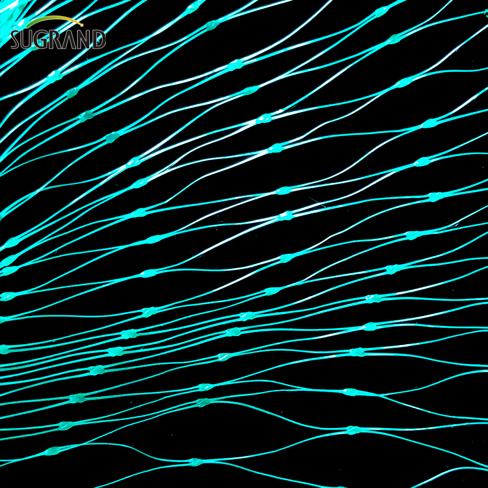 Agricol HDPE plastic PLASTIC INVISIBIL PIERDE DE VÂNZARE DE VÂNZARE 