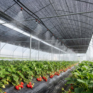 SUGRAND Pânză plată cu bandă neagră