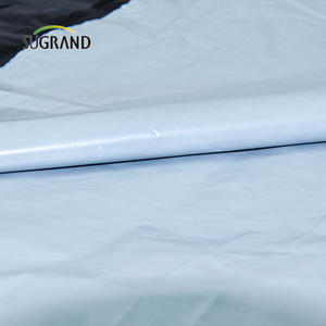 Fabrica chineză 0,4m-5m Plastic Mulch Film Agricultură pentru grădina de legume