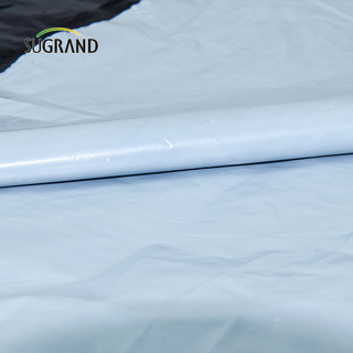 Fabrica chineză 0,4m-5m Plastic Mulch Film Agricultură pentru grădina de legume