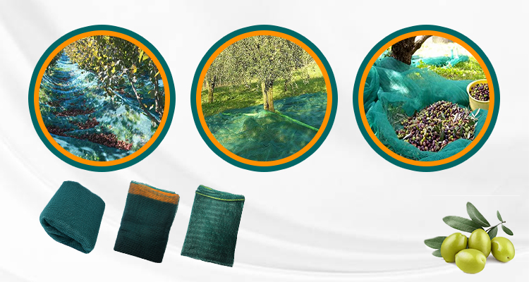 provizii de plasă de măsline