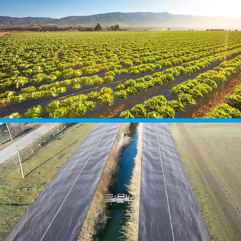 Polipropilenă (pp) țesută la sol barieră de buruieni