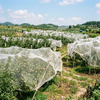 Plasa de insecte HDPE 40 ochiuri pentru legume de sera