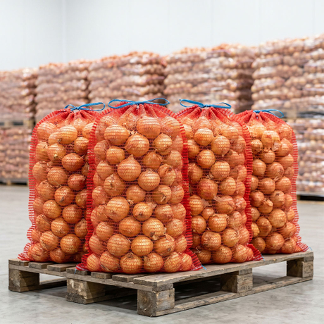 onion bag.jpg