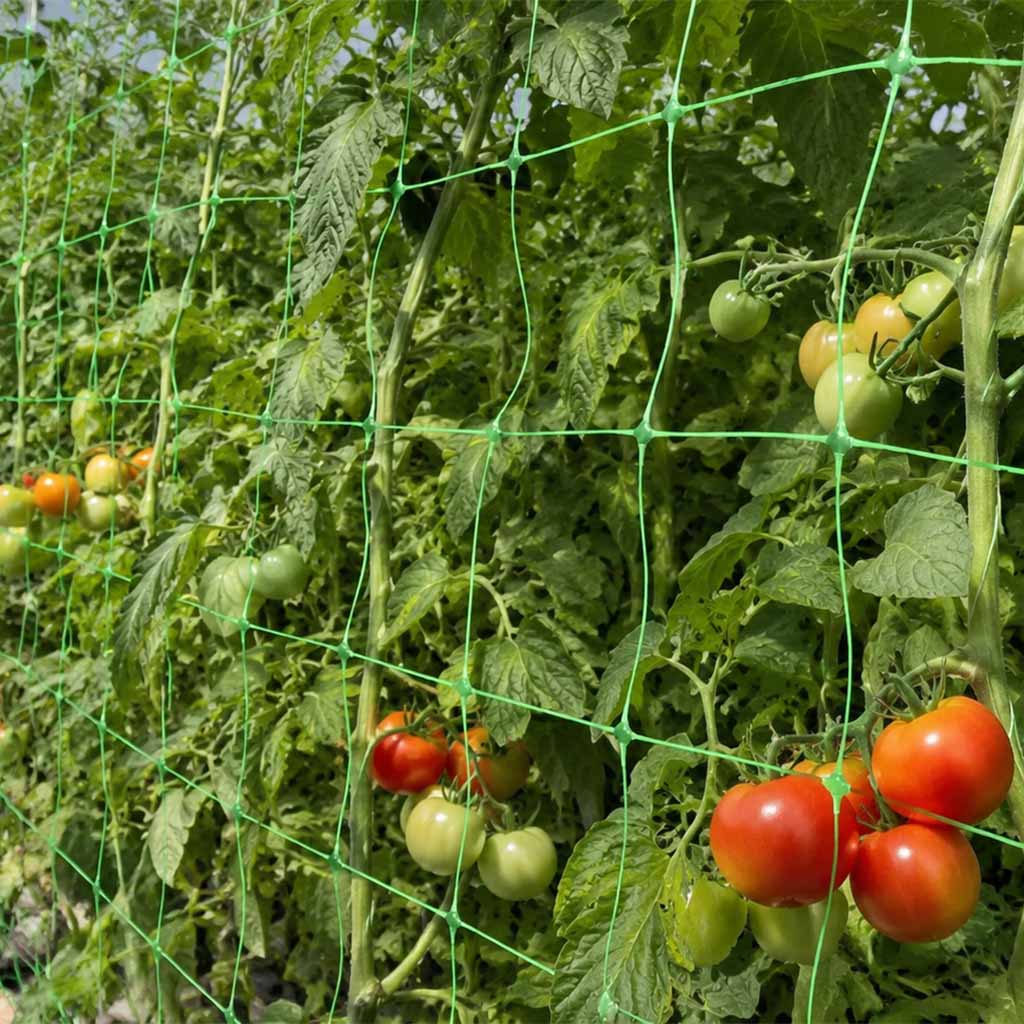 Plasa de sustinere a plantelor cu ridicata si plasa de spalier pentru culturi