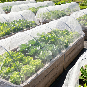 Plasa anti-insecte HDPE stabilizat UV