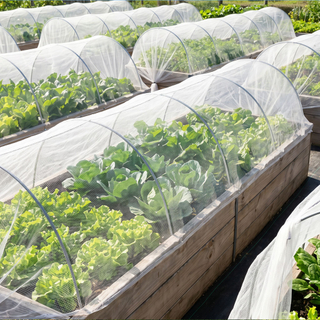 Plasa anti-insecte HDPE stabilizat UV
